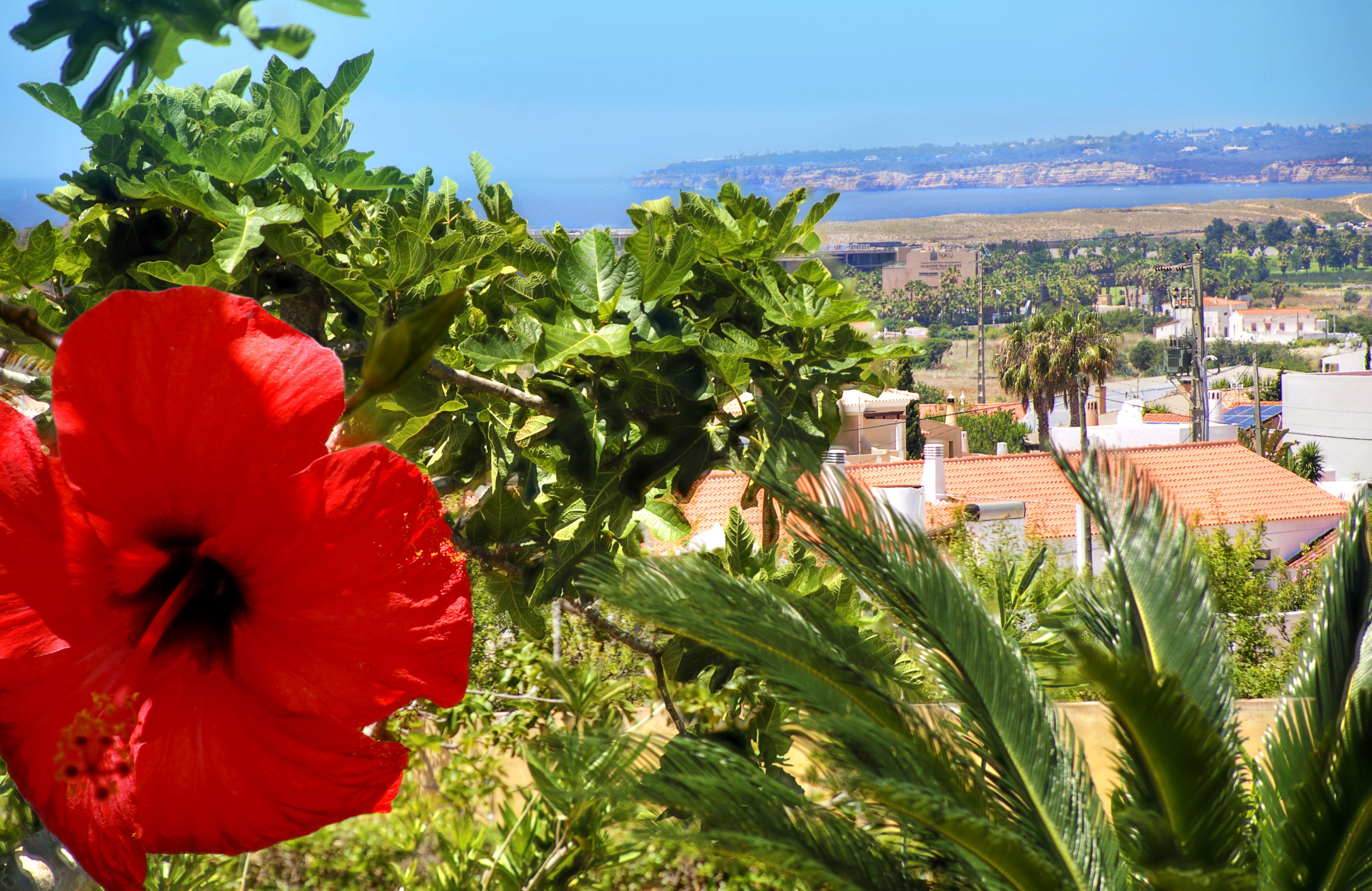 Parque Monte Verde Albufeira Zewnętrze zdjęcie
